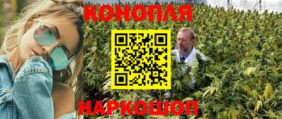 ECSTASY Заводоуковск