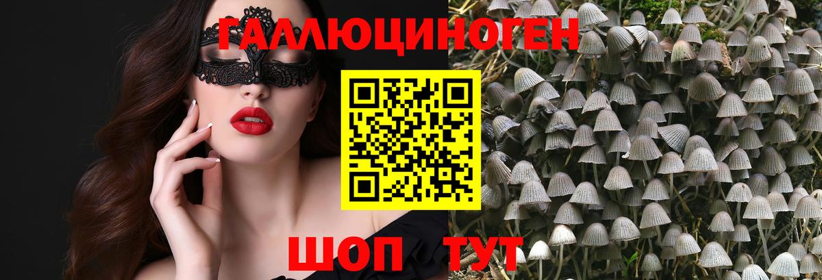 Псилоцибиновые грибы ЛСД Чайковский